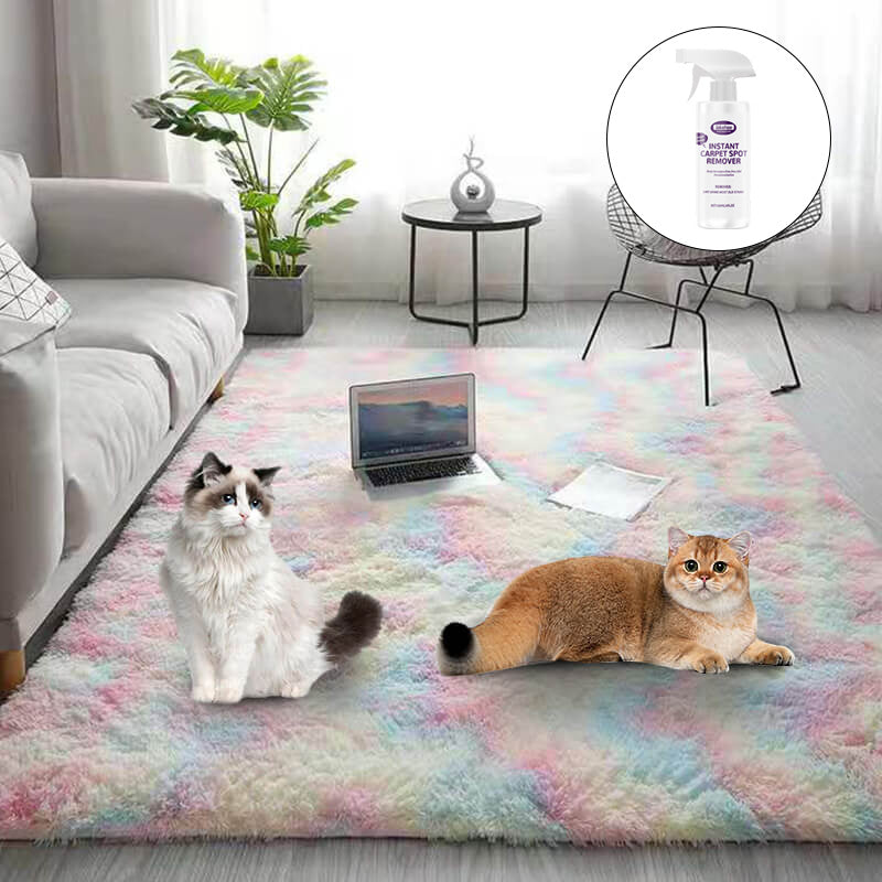 🔥 Gradient Color Plush Floor Mat