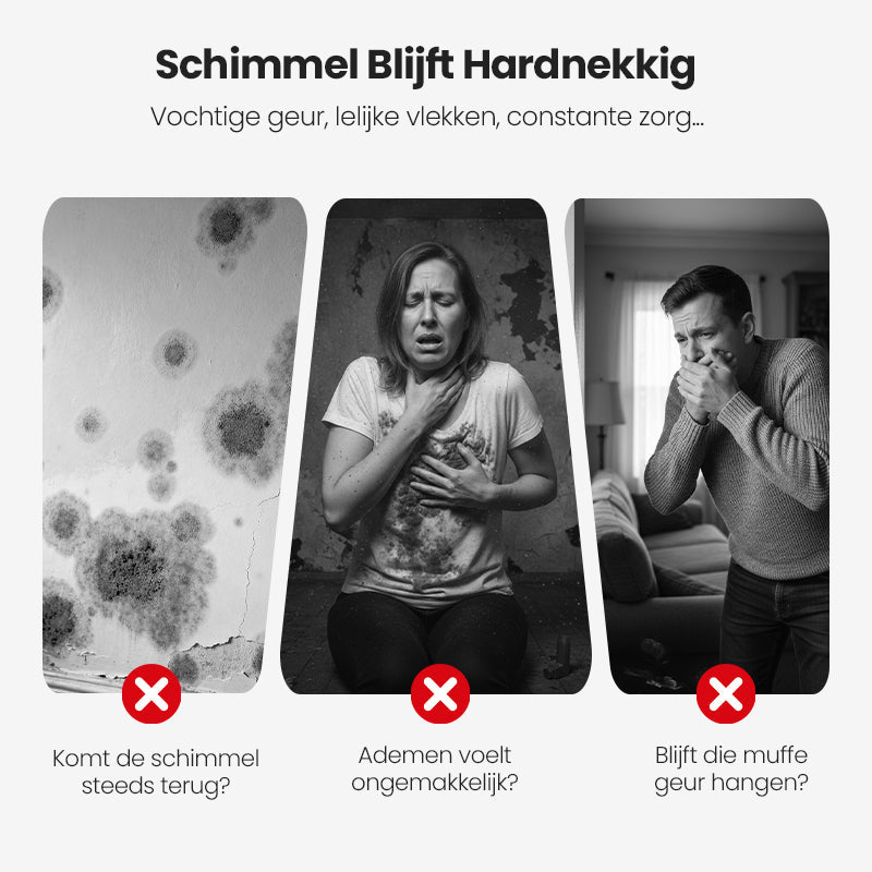 🔥2025 Hot Sale🔥 Powerful Mold Remover - Prevents New Mold Immediately (#1 Recommendation!)