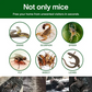 ✨LAST DAY SALE 57% OFF⚡ Single-Layer Woven High-Strength Eco-Friendly Mouse Glue Pad