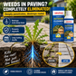 📢50% OFF!🏆Multi-Surface Stone Cleaner – Effectively eliminates moss, black spots, and hard water stains, plus effortlessly handles weeds growing in cracks and joints