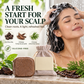 Solid shampoo with natural herbs