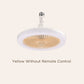 🔥Hot Sale 50% Off🔥Remote Control Aromatherapy Ceiling Fan with Light