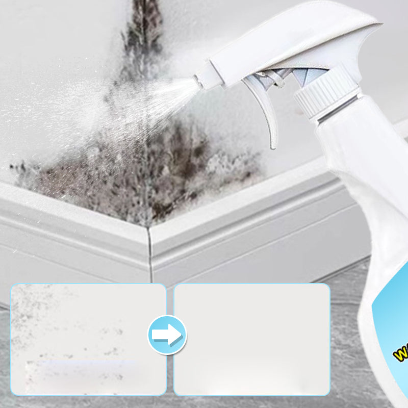 🔥2025 Hot Sale🔥Highly Effective Mould Removal Spray - Prevents Mould Regrowth