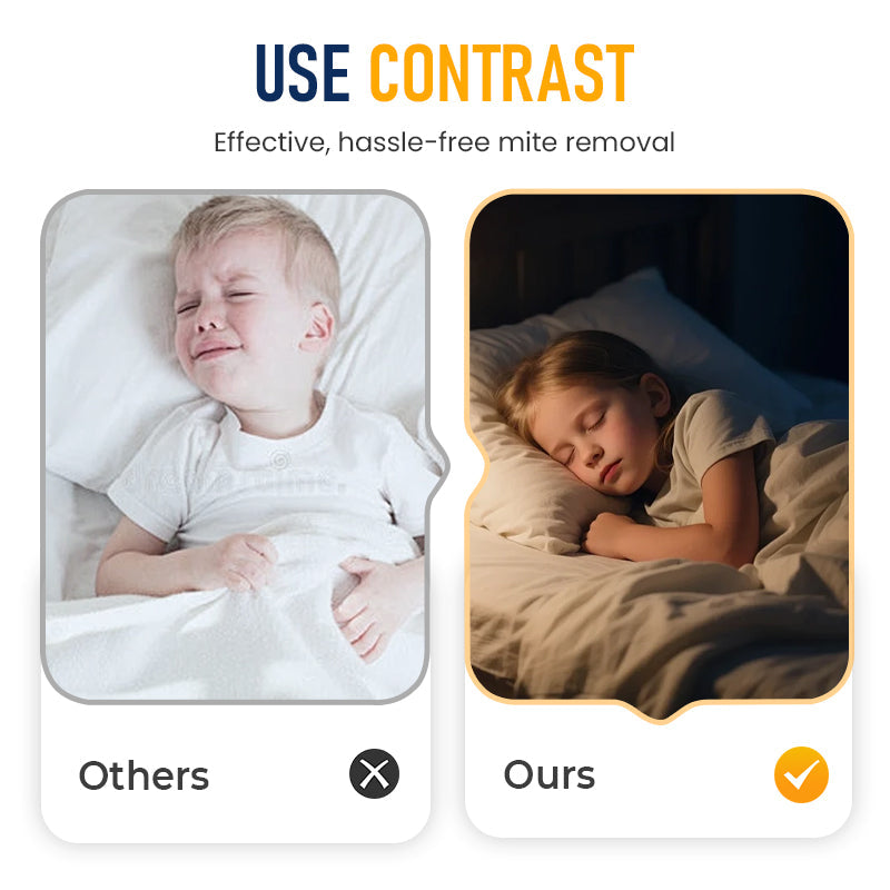 Dust Mite Remover for Home