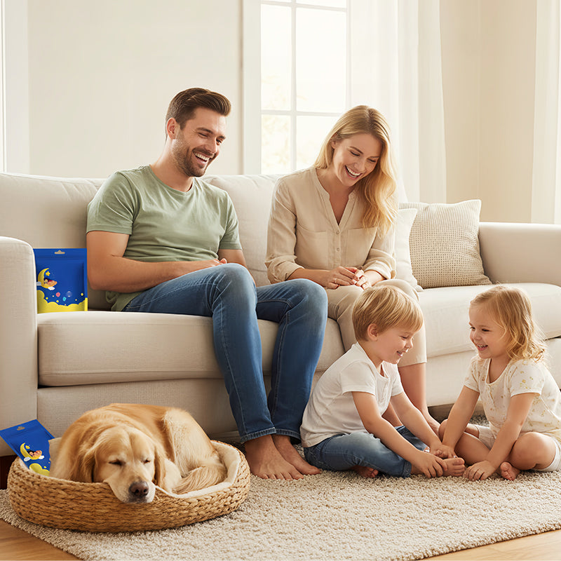 Dust Mite Remover for Home