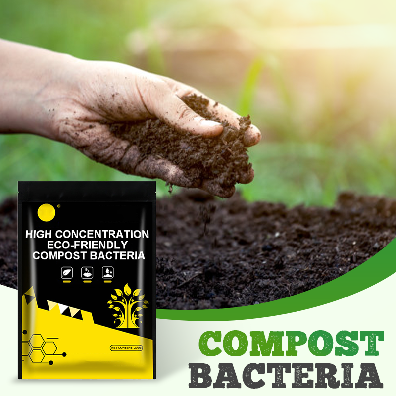High Concentration Eco-Friendly Compost Bacteria