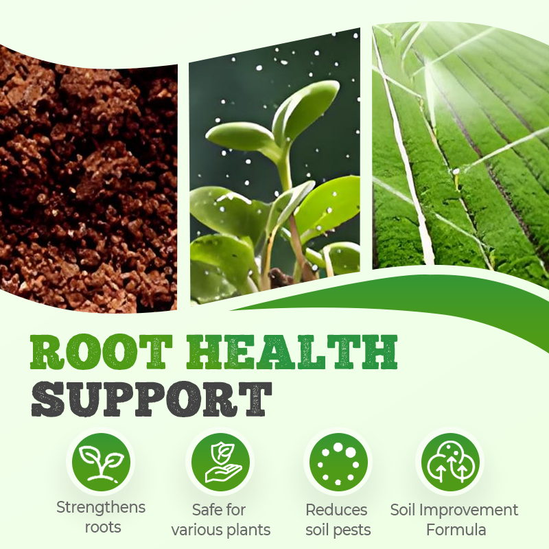 High Concentration Eco-Friendly Compost Bacteria