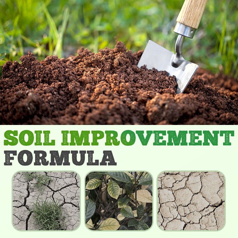 High Concentration Eco-Friendly Compost Bacteria