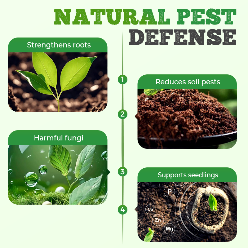 High Concentration Eco-Friendly Compost Bacteria