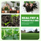 High Concentration Eco-Friendly Compost Bacteria