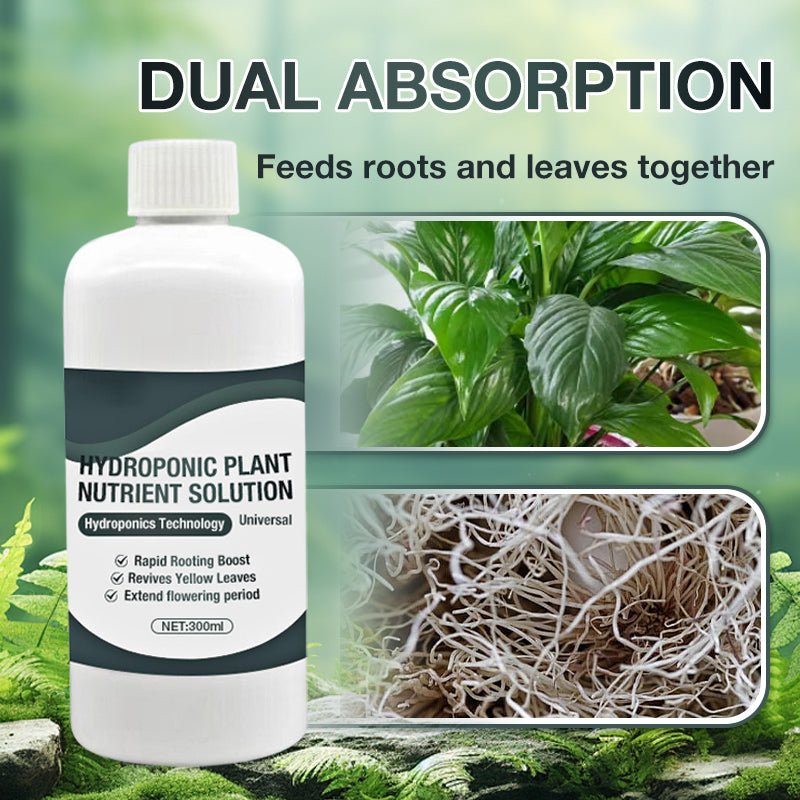 Hydroponic Plant Nutrient Solution