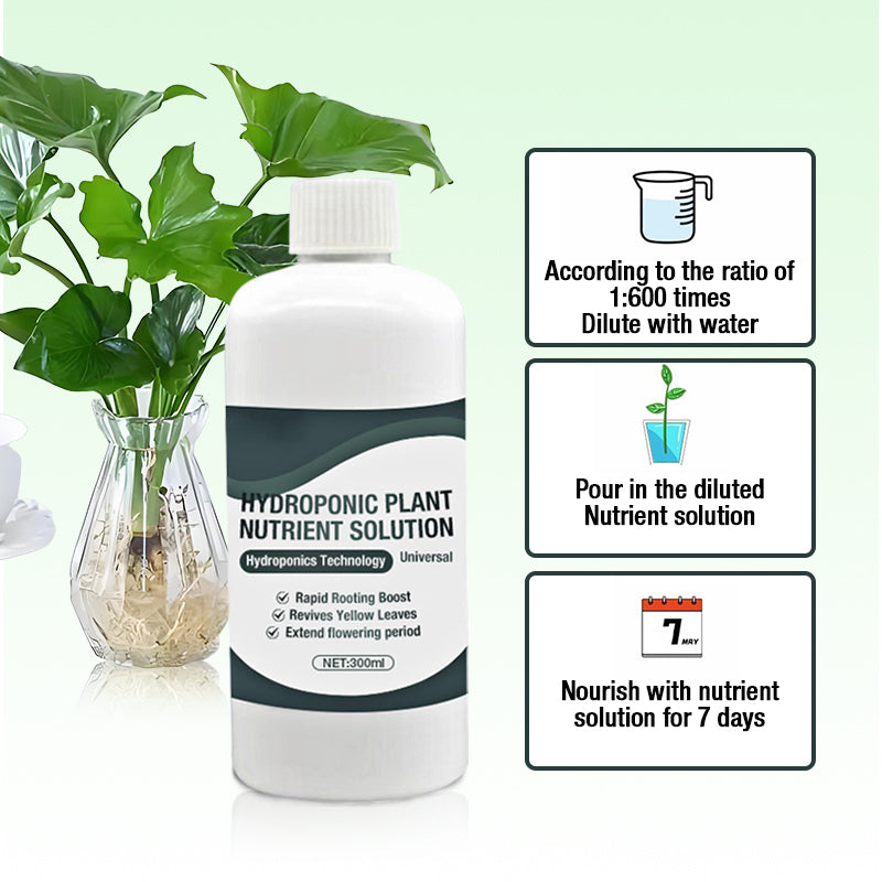 Hydroponic Plant Nutrient Solution