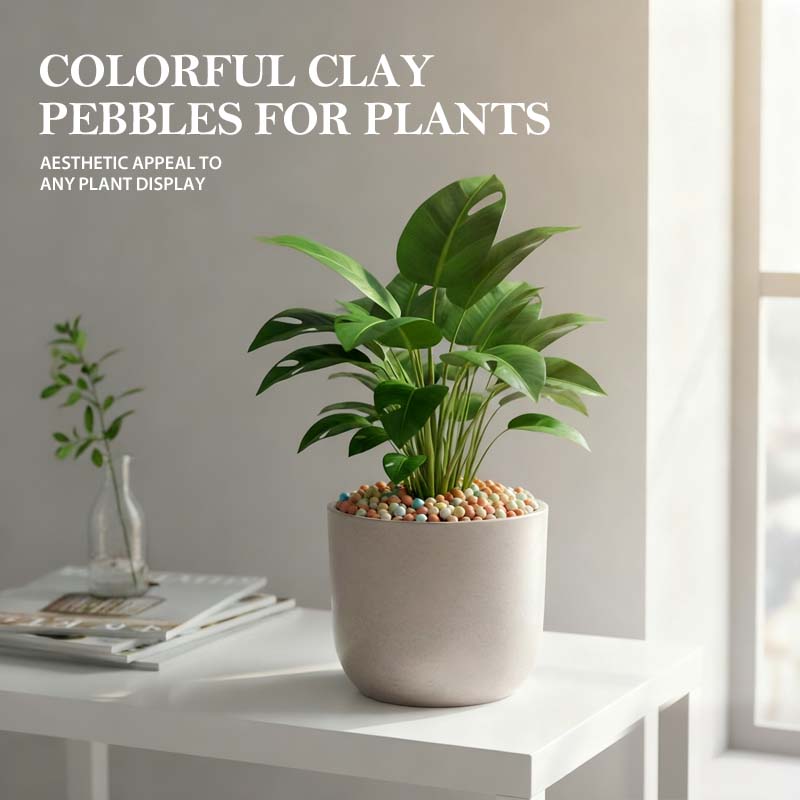 Colorful Clay Pebbles for Plants