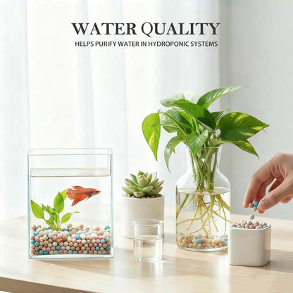 Colorful Clay Pebbles for Plants