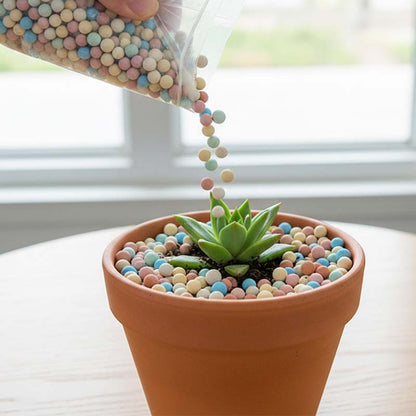 Colorful Clay Pebbles for Plants