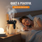 Portable Cordless Humidifier with Night Light