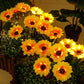 🌻50% OFF! ☀️ Waterproof sunflower solar lamps – Realistic petals, IP65 protection rating, and automatic 8 to 12 hour lighting ☀️🌻