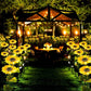 🌻50% OFF! ☀️ Waterproof sunflower solar lamps – Realistic petals, IP65 protection rating, and automatic 8 to 12 hour lighting ☀️🌻