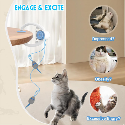Interactive cat toys for indoor use that hang from a hook