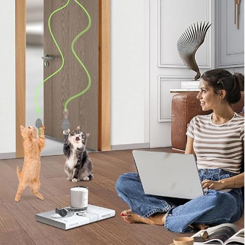 Interactive cat toys for indoor use that hang from a hook