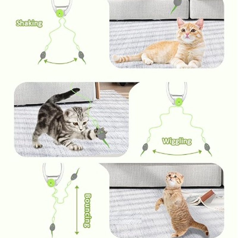 Interactive cat toys for indoor use that hang from a hook