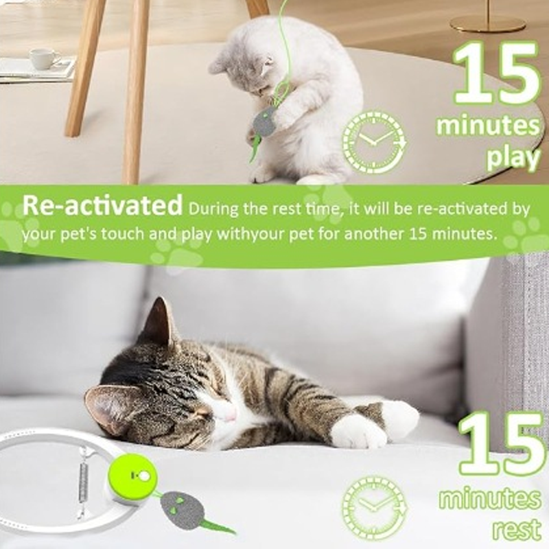 Interactive cat toys for indoor use that hang from a hook