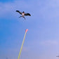🔥2026 New Style🔥Trend Kids Creative Elastic Fishing Rod Kite – Backyard & Travel Essential
