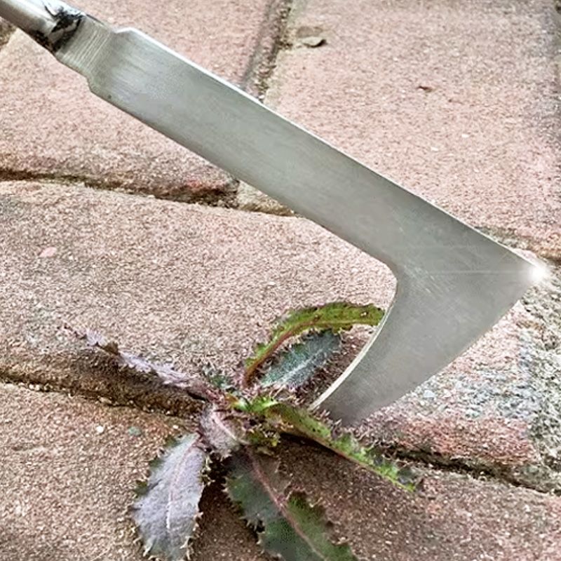 ⏳Limited-time 50% off⏰Multipurpose Crevice Weeding Tool