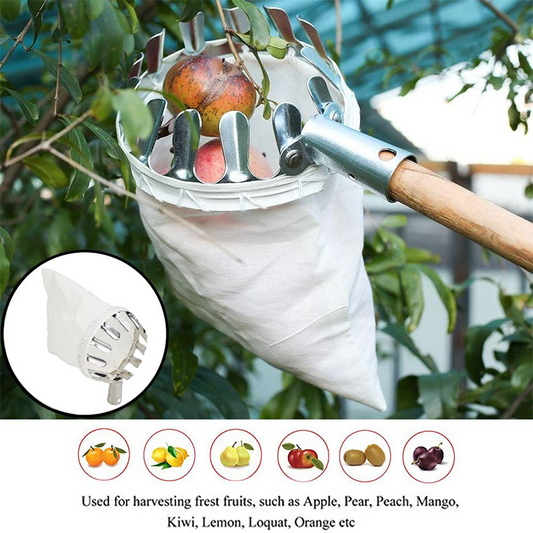 📢📢50% OFF !! ⏰Fruit Picker – Durable Design, Easy Attach & Perfect for Reaching High Branches Without a Ladder 🌳