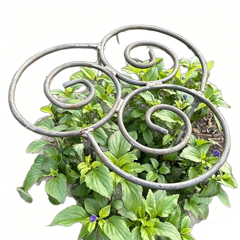 Sturdy plant support for flowers