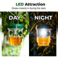 🐝☀️ Solar-powered wasp trap for patios and gardens 🔋🌿 – effective, rechargeable and weatherproof – chemical-free, covers up to 500 m² !