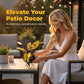 🐝 Solar-powered hanging light with a bee for outdoor use – The perfect gift for plant lovers, moms, or simply anyone who loves to smile ❤️