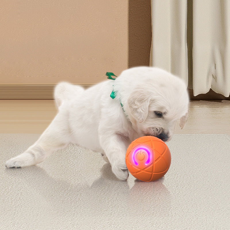 ⏰🔥LIMITED TIME 50% OFF!🔥50K+ SOLD!   🐾 AUTO-BOUNCING SMART PET BALL WITH REMOTE CONTROL— 3 Interactive Modes | Chew-Resistant E-TPU | USB-C Rechargeable 🎾