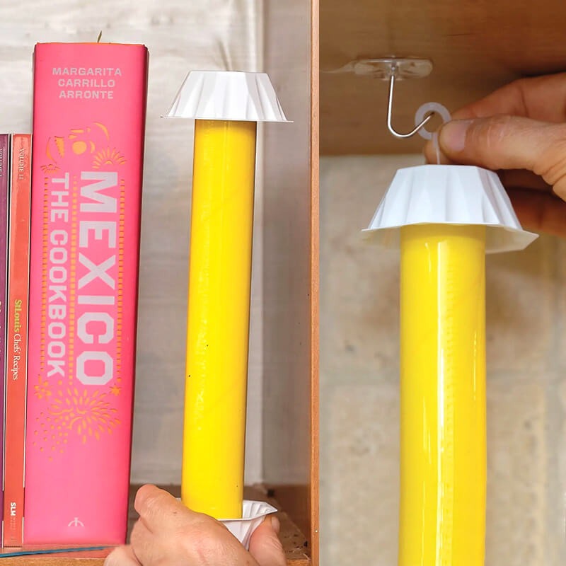 🟡 Dual-Shape & Weatherproof! Garden Sticky Trap – T-Flag & Ribbon, Bright Yellow for Whiteflies & Fungus Gnats ✨