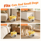 Silent Pet Drinking Dispenser with Food-Grade PET Bowl 🐾 Fresh, Flowing & Perfect for Picky Drinkers ✨