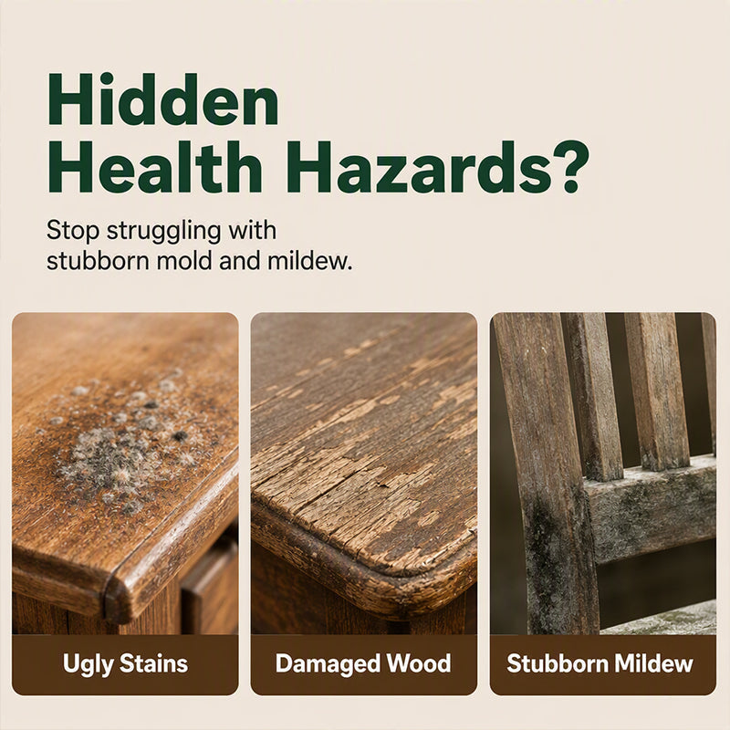 🔥Hot Sale 50% OFF🔥 Multi-Surface Mold Remover Spray – Bleach-Free, for Wood Furniture🪑