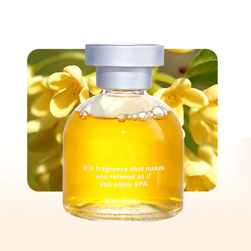 🎊 Special Blowout 🔥Long Lasting Car Perfume