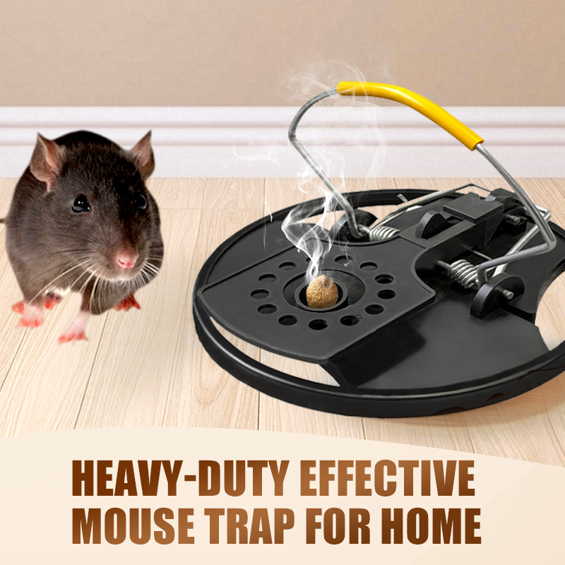 Heavy-Duty Effective Mouse Trap for Home