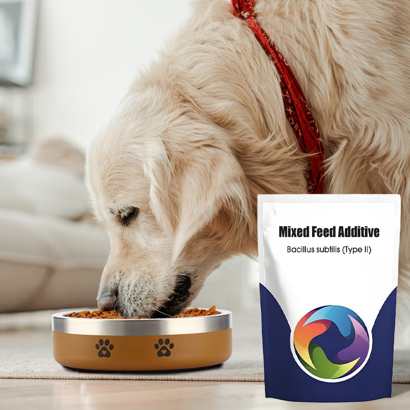 Probiotic & Enzyme Feed Additive