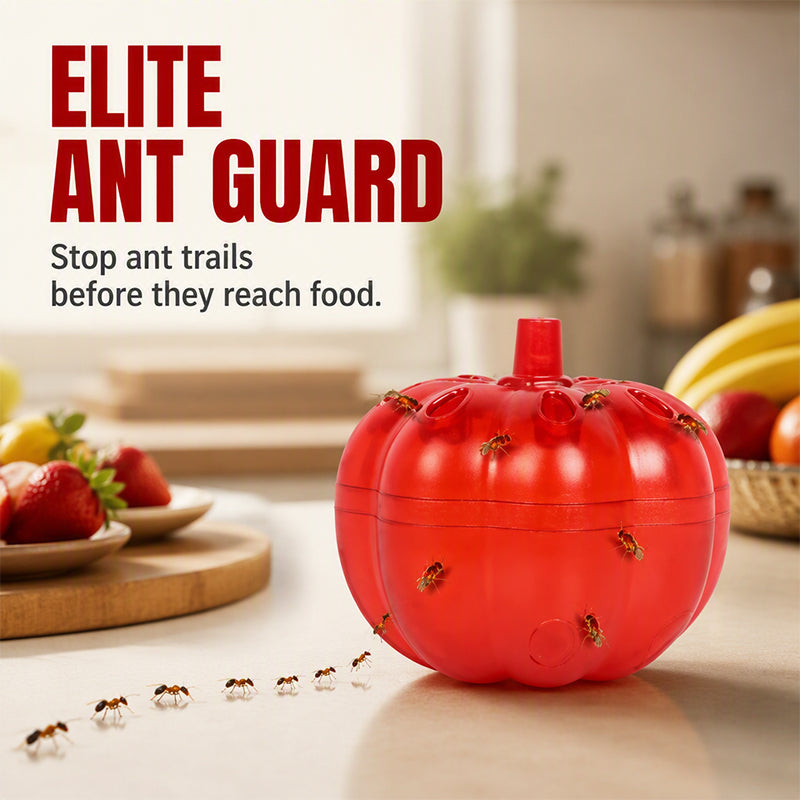 🎃 50% OFF TODAY! 🪰 Pumpkin Shaped Indoor Fruit Fly Trap – Non-Toxic, Discreet, Effective! ✨ Buy 1 Get 1 Free — Don't Wait for Black Friday! 🎁