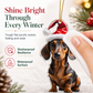 Trim Your Tree Instantly! Shatterproof Acrylic Dachshund Ornament