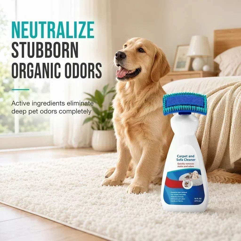 🛋️ Waterless Fabric Foam Cleaner – Instantly refreshes rugs & sofas ✨